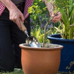 Elho Shop -Elho Shop 1002024 1