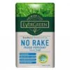 Evergreen Premium Plus No Rake Moss Remover Lawn Food 100m2 -Elho Shop 1019267