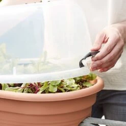 Elho Green Basics Flower Bridge Grow House 55cm -Elho Shop 1024663 4