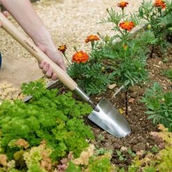 Elho Shop -Elho Shop 1031065 1