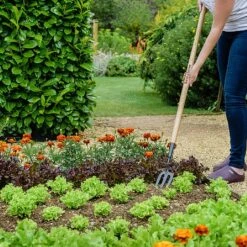 Elho Shop -Elho Shop 1031071 1