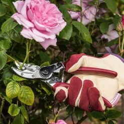 Kent & Stowe Rose Cut & Hold Secateurs -Elho Shop 1031091 2