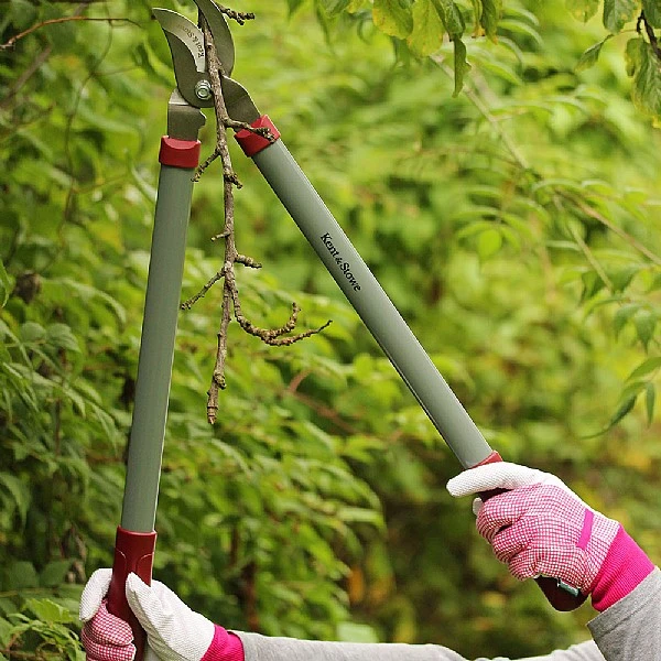 Kent & Stowe General Purpose Loppers 4 Kent & Stowe General Purpose Loppers - Image 2