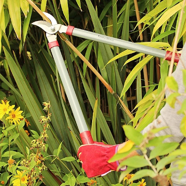 Kent & Stowe General Purpose Loppers 5 Kent & Stowe General Purpose Loppers - Image 3