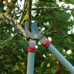 Kent & Stowe General Purpose Loppers 9 Kent & Stowe General Purpose Loppers -Elho Shop 1031094 3