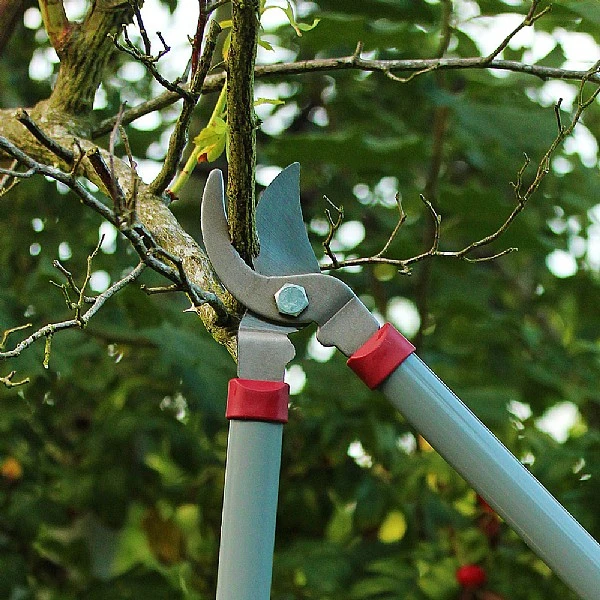 Kent & Stowe General Purpose Loppers 6 Kent & Stowe General Purpose Loppers - Image 4