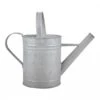 Fallen Fruits Old Zinc Watering Can 1.6L -Elho Shop 1077089