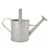 Fallen Fruits Old Zinc Watering Can 8.7L -Elho Shop 1077092
