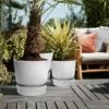 Elho Greenville Round Pot 40cm Living Concrete -Elho Shop 1112062