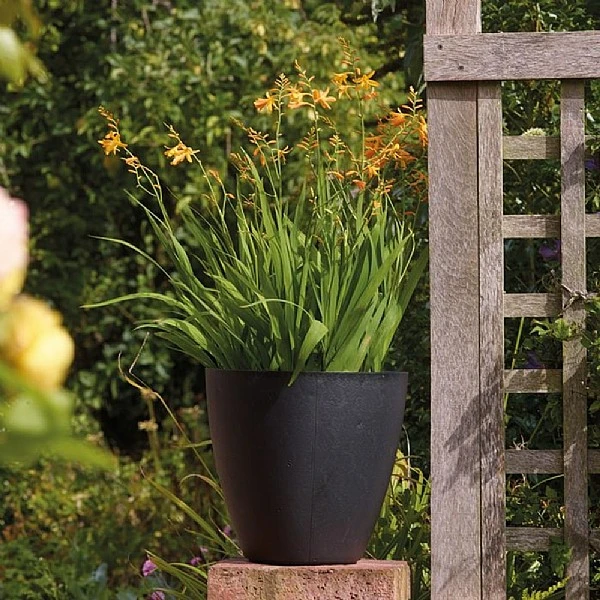 Stewart Garden 53cm Basalt Tall Round Planter - Black 3 Stewart Garden 53cm Basalt Tall Round Planter - Black