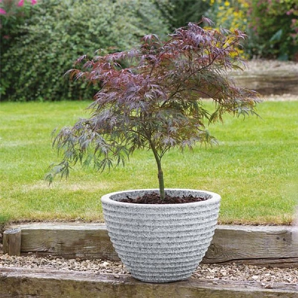 Stewart Garden 37cm Low Honey Pot Planter - Alpine Grey 4 Stewart Garden 37cm Low Honey Pot Planter - Alpine Grey - Image 2