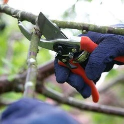 Wilkinson Sword Folding Pruner Saw & Pruner Set 8 Wilkinson Sword Folding Pruner Saw & Pruner Set -Elho Shop 1140375 2