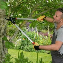 Wilkinson Sword Rachet Anvil Loppers -Elho Shop 1140385 1