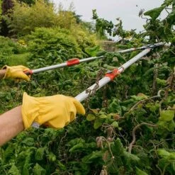 Wilkinson Sword Telescopic Anvil Loppers -Elho Shop 1140386 1