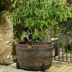 Jardinopia Plant Pot Feet Bronze Labrador - Set Of 3 -Elho Shop 1177293 3