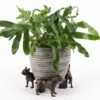 Jardinopia Plant Pot Feet Bronze French Bulldog -Elho Shop 1177301
