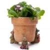 Jardinopia Beatrix Potter Benjamin Bunny Plant Pot Feet - Set Of 3 -Elho Shop 1177317