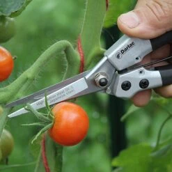 Darlac Compact Snips -Elho Shop 1202076 3