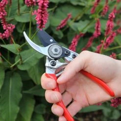 Darlac Small Bypass Pruner -Elho Shop 1202088 3