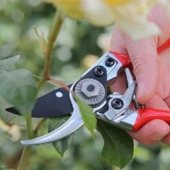 Darlac Small Bypass Pruner -Elho Shop 1202088 4