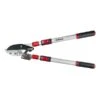 Darlac Telescopic Ratchet Lopper 2 Darlac Telescopic Ratchet Lopper -Elho Shop 1202099