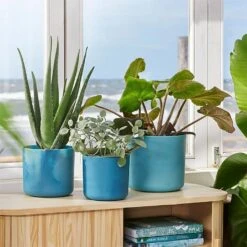 Elho The Ocean Collection Round Pot 22cm Atlantic Blue