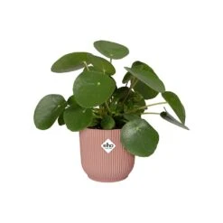 Elho Vibes Fold Round Planter 22cm Delicate Pink -Elho Shop 1230824 4