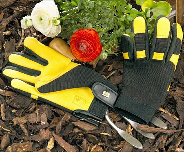 Gold Leaf Ladies Soft Touch Gloves 3 Gold Leaf Ladies Soft Touch Gloves