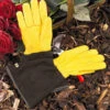 Gold Leaf Gents Tough Touch Gloves -Elho Shop 240108