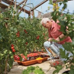 Hozelock Growbag Waterer -Elho Shop 771491 4