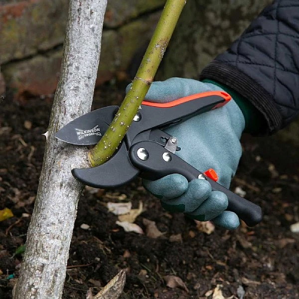 Wilkinson Sword Ratchet Anvil Pruner 4 Wilkinson Sword Ratchet Anvil Pruner - Image 2