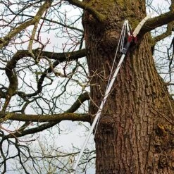 Kent & Stowe Telescopic Tree Lopper -Elho Shop 910042 2