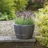 Blenheim Half Barrel Planter 61cm Pewter -Elho Shop 934025
