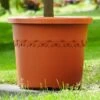 Elho Algarve Cilindro Planter With Wheels 48cm -Elho Shop ALG CIL WHEEL 48