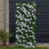 Smart Garden Cherry Blossom Trellis (Various Sizes) -Elho Shop CBLOSTREL