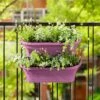 Elho Corsica Large Vertical Forest Planters - Set Of 2 (Various Colours) -Elho Shop CORFORLRG