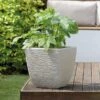 Cotswold Square Planter 32cm (Various Colours) -Elho Shop COTSQ32