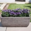 Cotswold Trough Planter 60cm -Elho Shop COTTRO60