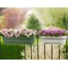 Elho Vibia Campana Trough 50cm (Various Colours) -Elho Shop ELVIBSQ50