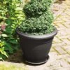 Stewart Garden Palladian Planter 50cm (Various Colours) -Elho Shop Palladiant