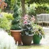 Stewarts Garden Palladian Planter 65cm (Various Colours) -Elho Shop SGPALPLAN65