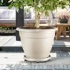 Elho Universal Planttaxi Planter 40cm (Various Colours) -Elho Shop UPLATAXI40